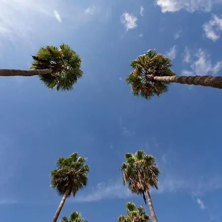 Luxury Boutique In Torres Del Sol Lägenhet Playa de las Americas (Tenerife)