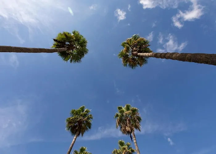 Luxury Boutique In Torres Del Sol Lägenhet Playa de las Americas (Tenerife)